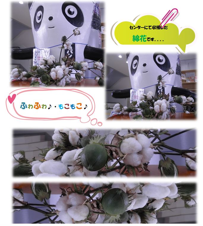 2015.10.8-4